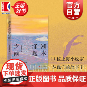 潮水涌起之前 赵松哥舒意等三代上海作家摩登多元沪上文学景观短篇小说上海文艺出版社