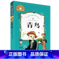 青鸟 [正版]小学生一二年级三年级课外阅读书籍昆虫记木偶奇遇记儿童版四大名著注音版小学生6-8-10岁童话故事书世界经典