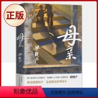 母亲 [正版] 人世间全3册 梁晓声 父亲+母亲+活法+觉醒+重生 茅盾文学奖获奖作品 梁晓声小说 百姓生活史新现实