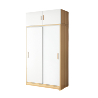 伊洛源 推 拉门木质衣柜