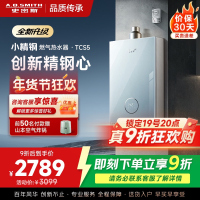 史密斯佳尼特[小精钢TCS5]16升精钢燃气热水器 国家补贴 JSQ31-TCS5 安全守护 持久恒温大水量 新品