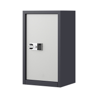 DXBG指纹电子保密柜钢制密码文件柜档案柜矮柜保密资料柜办公柜单门灰白:国保锁
