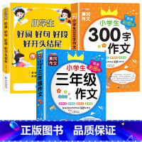 [全3册]好词好句+三年级作文+300字作文 小学通用 [正版]好词好句好段小学生大全 二年级三年级作文素材书注音版好开