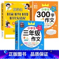 [全3册]好词好句+三年级作文+300字作文 小学通用 [正版]好词好句好段小学生大全 二年级三年级作文素材书注音版好开