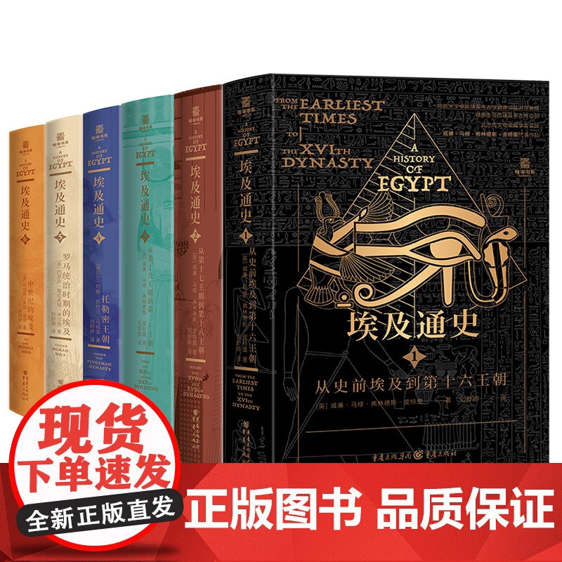 正版 埃及通史6册陆海书系插图版 埃及古物学家 埃及史世界史考古史金字塔 帝王谷埃及史 非洲史好书