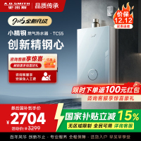 史密斯佳尼特[小精钢TCS5]13升精钢燃气热水器 国家补贴 JSQ26-TCS5 安全守护 持久恒温大水量 新品