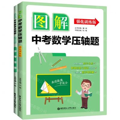 [N]图解中考数学压轴题(附参考答案强化训练版)-9787562863946