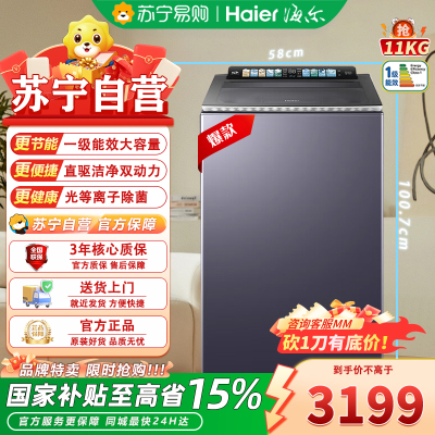 海尔云溪4.0XQS110-BE87X8 波轮洗衣机11公斤全自动AI智慧洗大桶直驱双动力洗衣机离子除菌 精华洗
