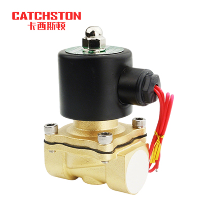 卡西斯顿 管道电磁阀 2W500-50 个