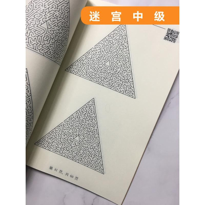 迷宫纸制儿童益智思维游戏书玩具小学生高难度冒险专注力耐力训练真智力迷宫中级版60页儿童迷宫