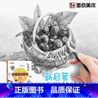 [1册]新启蒙素描基础教程·综合篇 [正版]墨点美术新启蒙素描基础教程综合篇零基础学生小白绘画入门教程书籍带视频教学单体