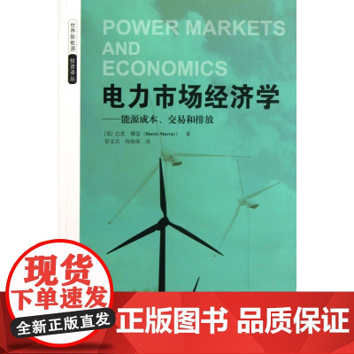 电力市场经济学--能源成本交易和排放/世界新能源投资译丛