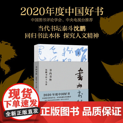 [2020中国好书]书内书外 沈鹏书法十九讲 书法教学实践精选 漫谈国学修养与书法 北京大学出版社