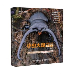 [N]小虫大观(微距镜头下的昆虫世界)-9787115635884