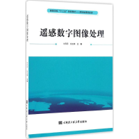 音像遥感数字图像处理刘丹丹,张玉娟 主编