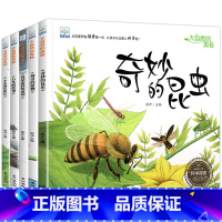 儿童大自然科普读物绘本[全5册] [正版]小果树儿童科普读物绘本全套5册 大自然的奥秘 奇妙的昆虫 3-4-6-8-9岁