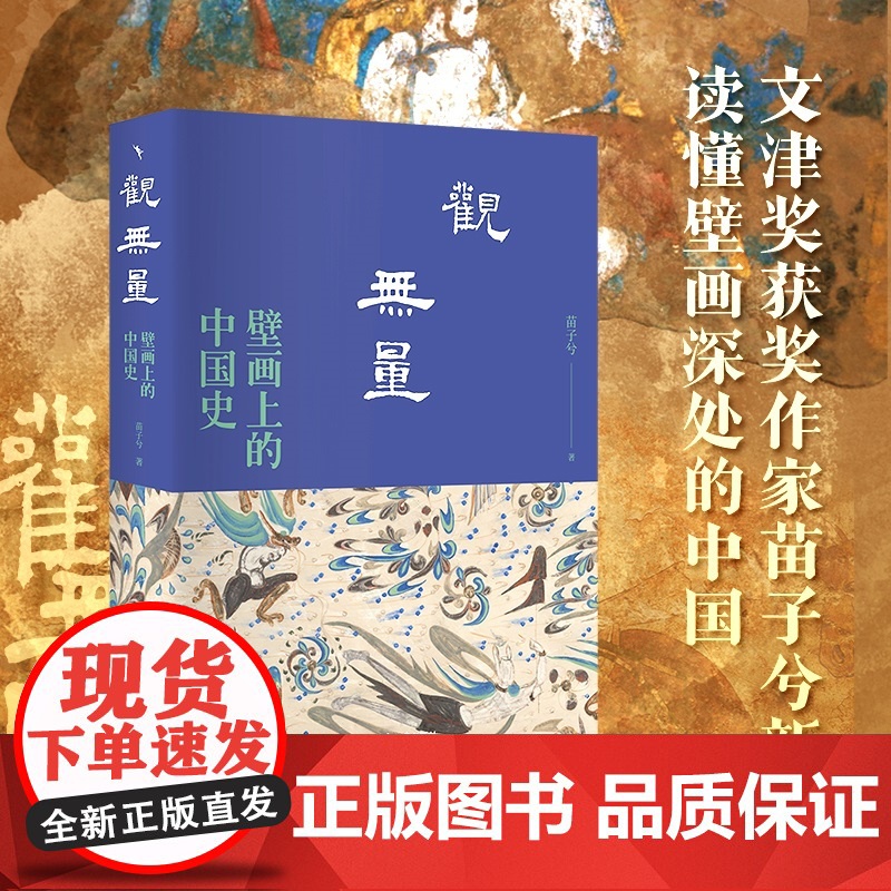 观无量 壁画上的中国史 苗子兮 著 一部由壁画传承的纪传体中国史 读懂壁画深处的中国历史 北京大学出版社 观我生