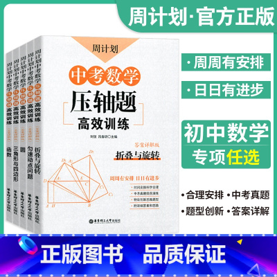 中考数学压轴题全套 初中通用 [正版]中考数学压轴题高效训练中考数学初中数学计算题高效训练总复习中考数学初中数学压轴题精