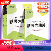 语文 一年级下 [正版]2024新版新领程默写大通关一年级二年级三年级四年级五年级六年级123456上册下册人教版小学语
