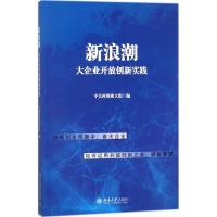 正版新书]新浪潮中关村创业大街 编9787301291108