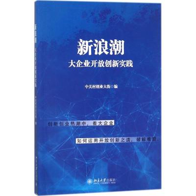 正版新书]新浪潮中关村创业大街 编9787301291108