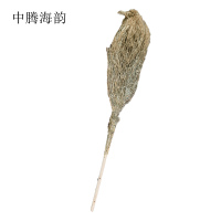 中腾海韵 竹扫把 木柄 个