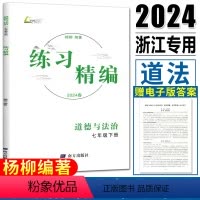 练习精编道德与法治 七年级下 [正版]杨柳练习精编七下道法2024春练习精编七年级下册道德与法治 杨柳编著初中生同步练习