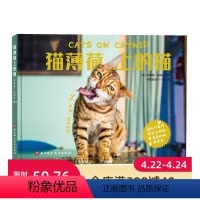 [正版]猫薄荷上的猫 宠物 猫 摄影 影集 书籍 北京科学技术