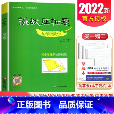 九年级数学精讲精练 初中通用 [正版]2025挑战压轴题中考数学物理化学七年级八年级九年级轻松入门篇精讲解读篇强化训练篇