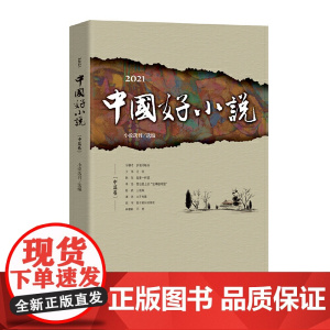 2021中国好小说.中篇卷
