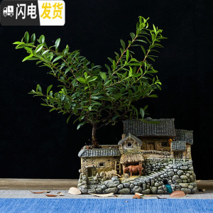 三维工匠创意田园复古花盆微景观多肉植物摆件个性室内盆栽禅意盆景装饰品 农家小院-小-刺楠套餐 小花盆容器