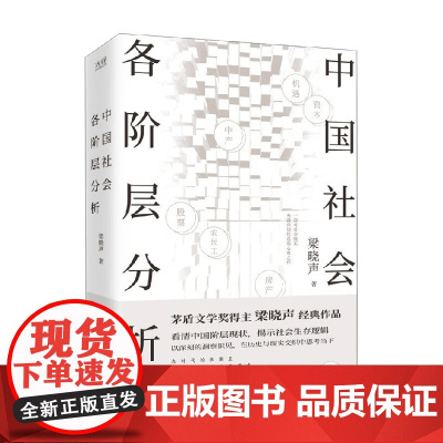 中国社会各阶层分析 梁晓声 著 社会科学