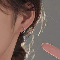 s925银针双十星星耳圈耳骨钉耳环轻奢独特高级耳扣冷淡风气质耳饰送女朋友老婆情人节七夕生日礼物