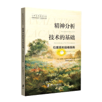 音像精神分析技术的基础:拉康派实践者指南(美)布鲁斯·芬克
