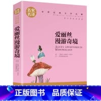 爱丽丝漫游奇境 [正版]名著任选初中生世界名着全套原着书籍小说经典儿童文假如给我三天光明昆虫记爱的教育海底两万里简爱中小