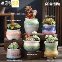 三维工匠多肉花盆陶瓷老桩创意个性粗陶透气肉肉植物大口径小花盆 糖糖-HS陶盆组合6个 中等花盆容器