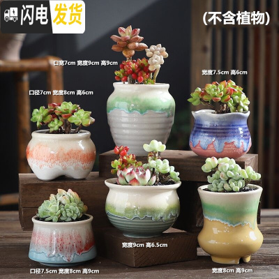三维工匠多肉花盆陶瓷老桩创意个性粗陶透气肉肉植物大口径小花盆 糖糖-HS陶盆组合6个 中等花盆容器