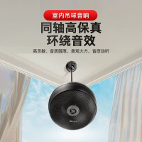 金正无线接收室内吊球音响K1-56黑色[单音箱 需搭配发射主机使用]蓝牙音乐播放公共广播商店铺挂墙家用装修喇叭防雨立体声