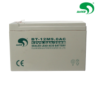 赛特 蓄电池 BT-12M9.0AC(12V9.0AH) 块