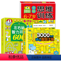 [正版]全套3册6-7岁左右脑智力开发600题儿童潜能开发全书3000个游戏玩出超级大脑开发训练书幼儿数学启蒙逻辑思维