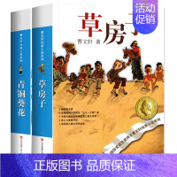 [全套2册]草房子+青铜葵花 [正版]全套15册草房子曹文轩青铜葵花根鸟狗牙雨山羊不吃天堂草石榴船樱桃小庄细米野风车天黑