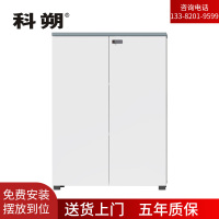 科朔 文件柜矮柜两门柜资料柜木质办公室文件柜KS-09F0808