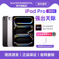 苹果 Apple 2024款 iPad Pro 11英寸 256G WIFI版 苹果平板电脑 白色 资源机国际版