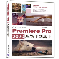 音像Premiere Pro 2020从新手高刘艺