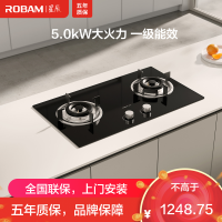 老板ROBAM[星辰系列] 燃气灶 5.0kW单灶具双眼灶 燃气灶台嵌入式 天然气灶JZT-20B1A (天然气)