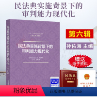 [正版]2021新书 民法典实施背景下的审判能力现代化 孙佑海 主编 民法典与多元解纷 诉讼服务 类案检索 强制执行