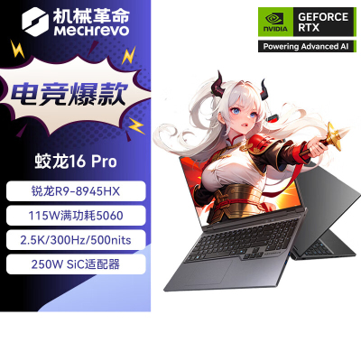 机械革命(MECHREVO)蛟龙16Pro 2025款 16英寸旗舰游戏本 强芯学生设计笔记本电脑锐龙版R9-8945HX RTX5060 16G 1T 2.5K 灰