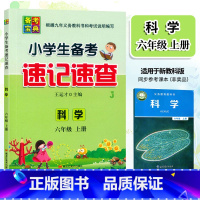 [正版]2024新版 备考宝典 小学生备考速记速查 科学 六年级上册教科版JK 6年级上册科学备考复习手册口袋本知识点