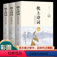 [正版]枕上诗词系列全套3册一本书读懂美古诗词唐诗宋词诗经彩图珍藏版枕上诗书诗词大会飞花令浪漫鉴赏大全集古代文化常识书