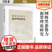 法学著作 网络黑恶势力犯罪理论研究 闫雨 著 刑法 中国政法大学出版社